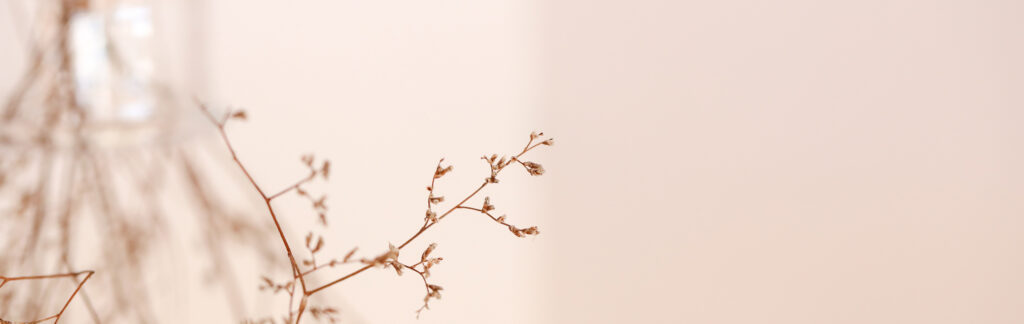 reviews clemshair Services